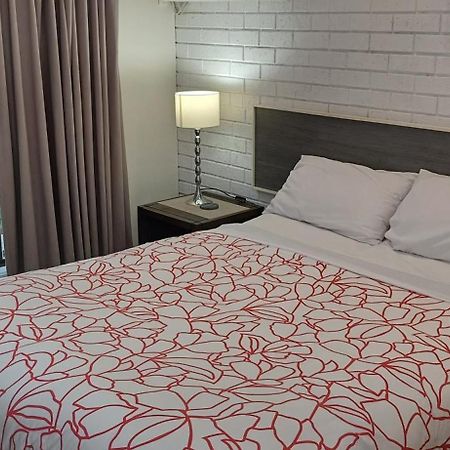 מריבורו Bristol Hill Motor Inn מראה חיצוני תמונה